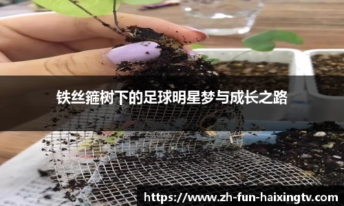 关键词1